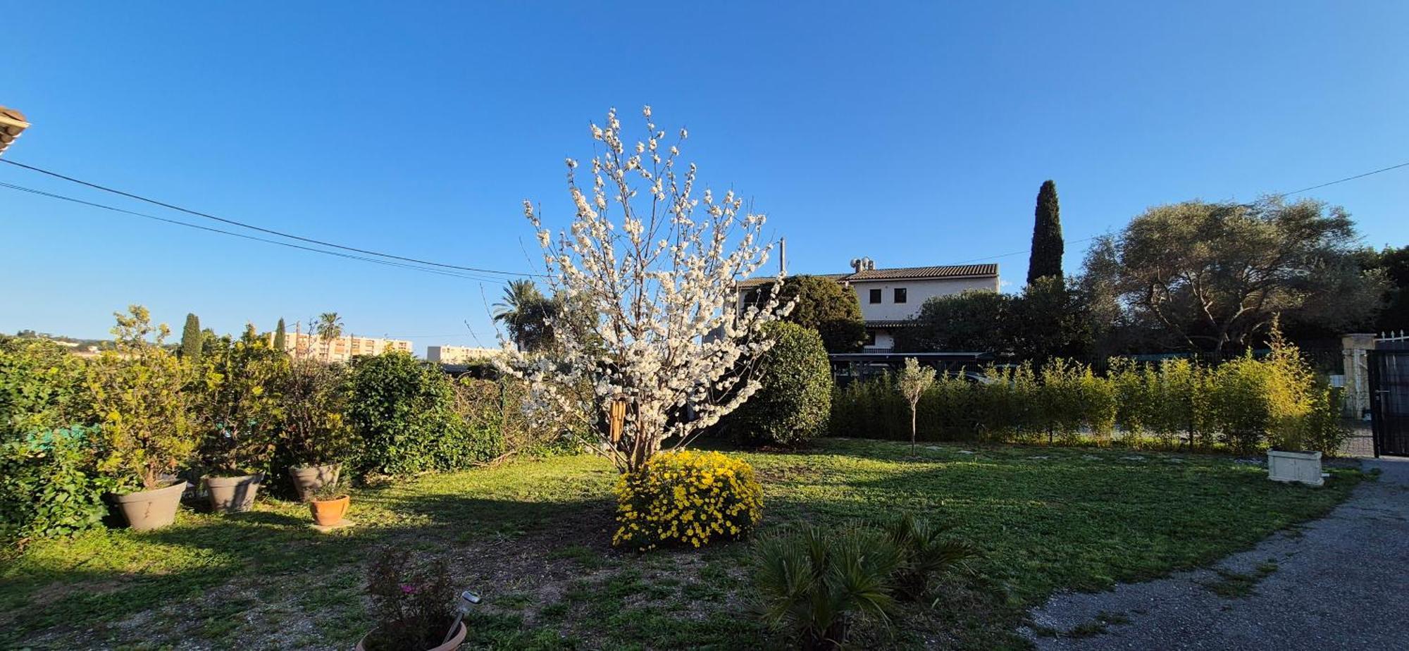 Studio Independant Avec Terrasse A Juan Les Pins Antibes Exteriör bild
